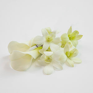 NO.4 ホワイト&グリーン