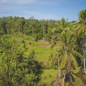 遺跡・棚田・マーケットをめぐるウブドハイライト プライベートフォトツアー 追加1名様