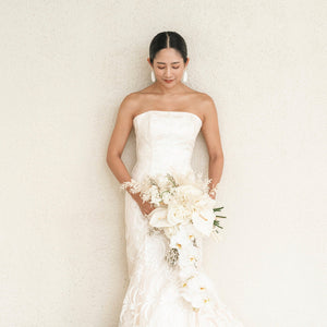 HB-94 ブランシュール