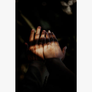 フォトグラファー:Joel