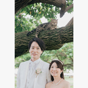 フォトグラファー:Ken