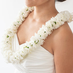 生花レイ カーネーション ダブル(ホワイト)