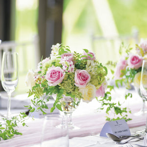 イノセント ピンク