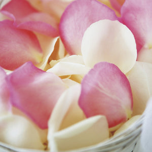 カラーセレクション①ホワイト&ピンク