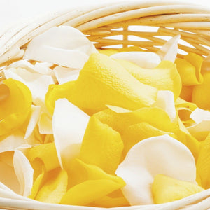 カラーセレクション②ホワイト&イエロー