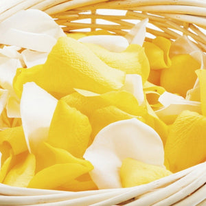 カラーセレクション②ホワイト&イエロー