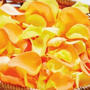 イエロー&オレンジ