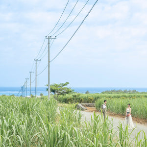 [アラマンダ挙式限定] 綾道（あやんつ）フォトツアー