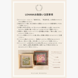 ロハナ