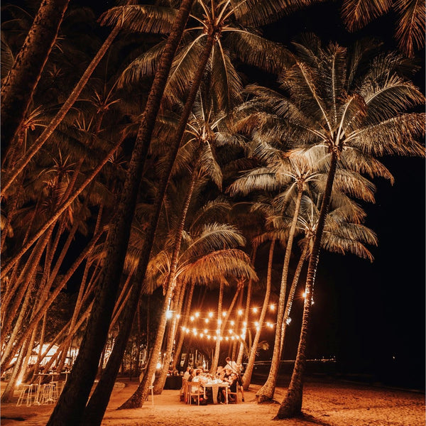 アラマンダ ビーチサイドパーティ