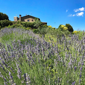 Natura in Toscana トスカーナの自然