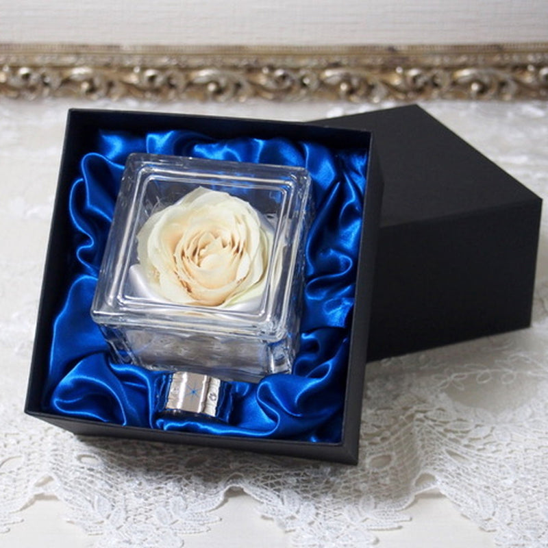 [ブルーアステール限定] ドライフラワー ジュエルボックス