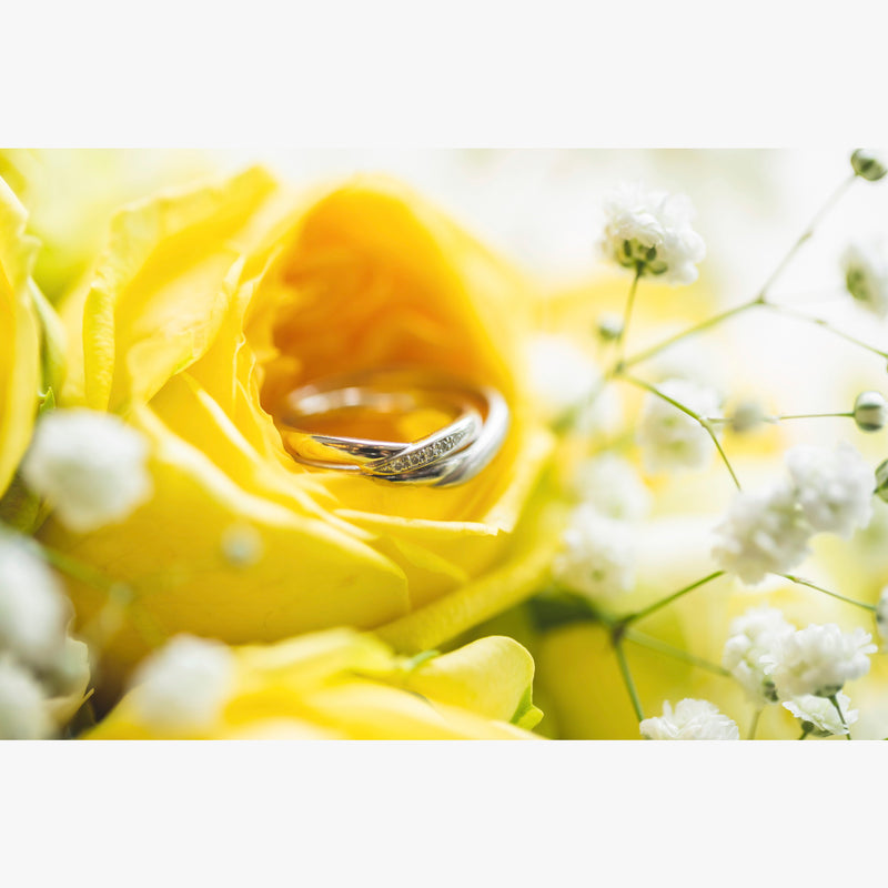 フォトグラファー：Narumi