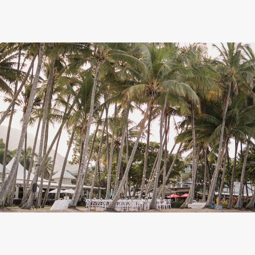 アラマンダ ビーチサイドパーティ