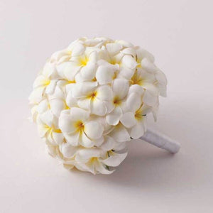 プルメリアのラウンド