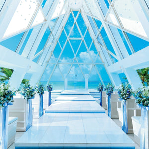 [ライトプラン] ブルーアステール ウェディングセレモニー