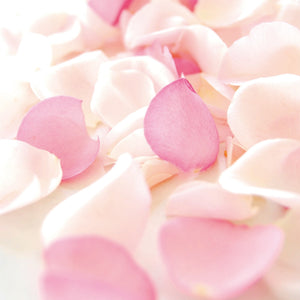 カラーセレクション①ホワイト＆ピンク