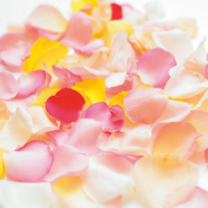 カラーセレクション②ミックス（ホワイト＆ピンク＆イエロー）