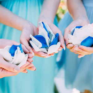 カラーセレクション④（ブルー＆ホワイト）