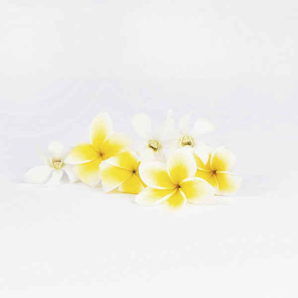 ブーケとお揃いのヘッドピース HBH-21 イエロープルメリアのラウンド (コピー)