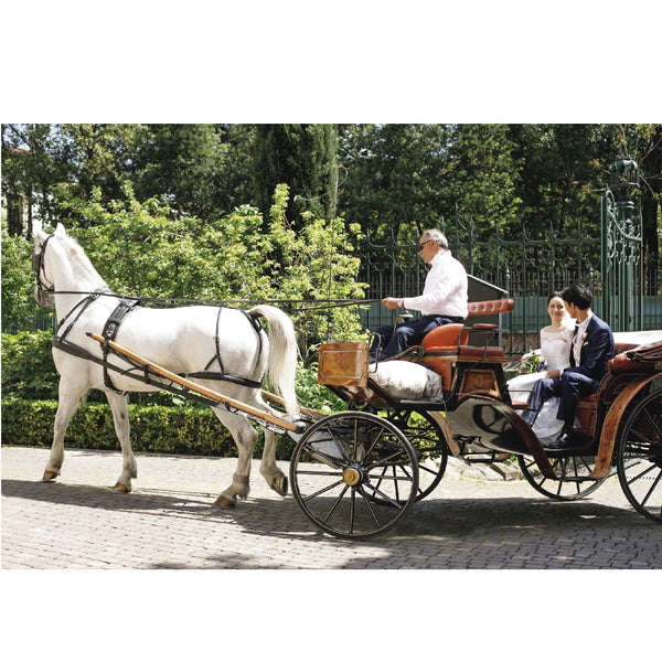 [セント･ジェームス] 馬車送迎 (片道)