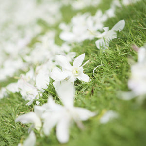 [フェアモント･オーキッド･ウェディング限定] 生花会場装花