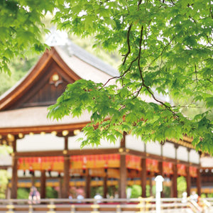 [国内リゾ婚セレクション]藍色プラン 上賀茂神社