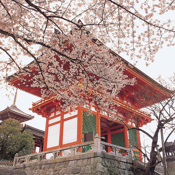 [国内リゾ婚セレクション]紅色プラン 清水寺