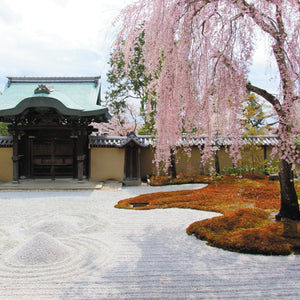 [国内リゾ婚セレクション]紅色プラン 高台寺