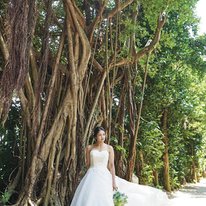 フクギ並木フォトツアー　イメージ