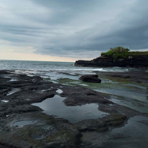 神と人と自然の調和を体感する世界遺産寺院と海の寺院タナロットを巡る プライベートフォトツアー