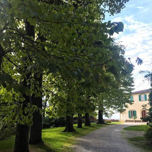 [ライトプラン] ヴィラ･エミリア ガーデンウェディング