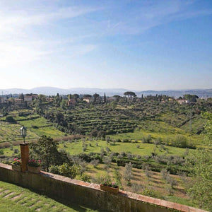 [ライトプラン] ヴィラ･エミリア ガーデンウェディング