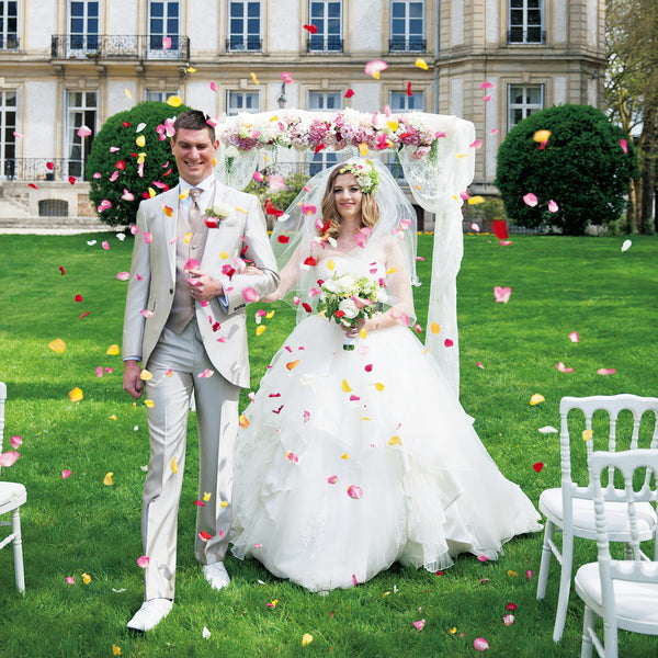 シャトー・ドゥ・サントニー