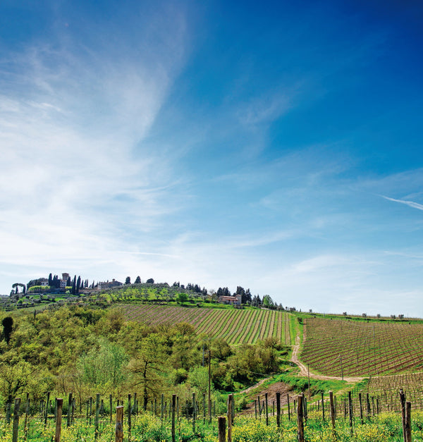 カステッロ・ヴィッキオマッジョ 古城ワイナリーウェディング