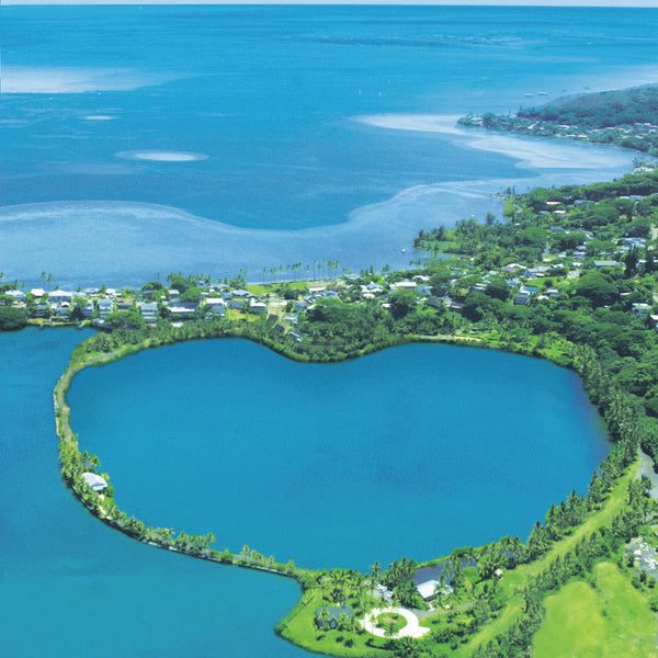 ザ・プライベート・ガーデン アロハ・ケ・アクア　カハルウ・グローブ