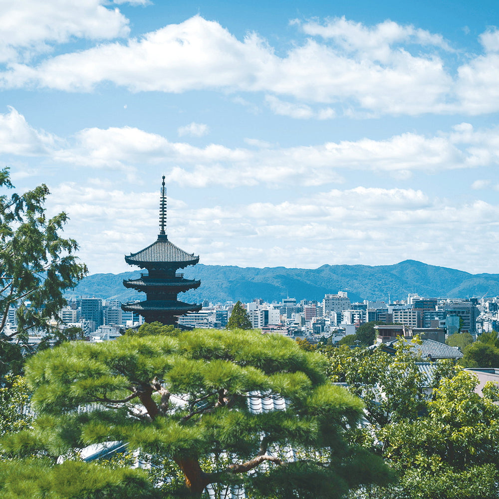 レストランひらまつ 高台寺