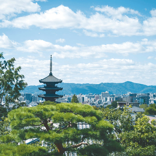 レストランひらまつ 高台寺
