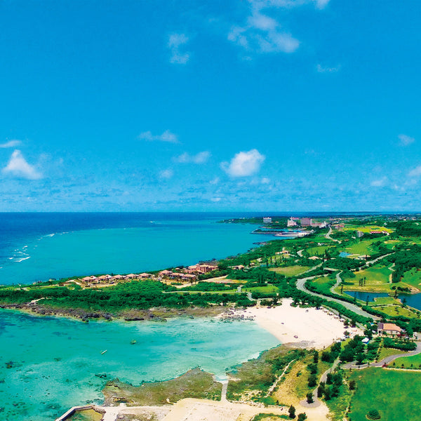 アラマンダ チャペル